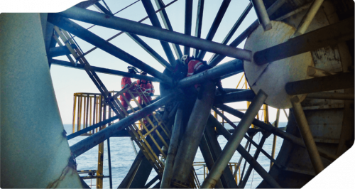 A Vertech NZ team conducting an inspection.