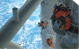 Specialist maintenance IRATA netting.